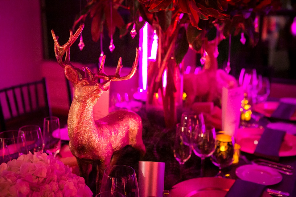 San_Francisco_Special_Event_Photographer_007_Skyfall_Terra_Gallery_04