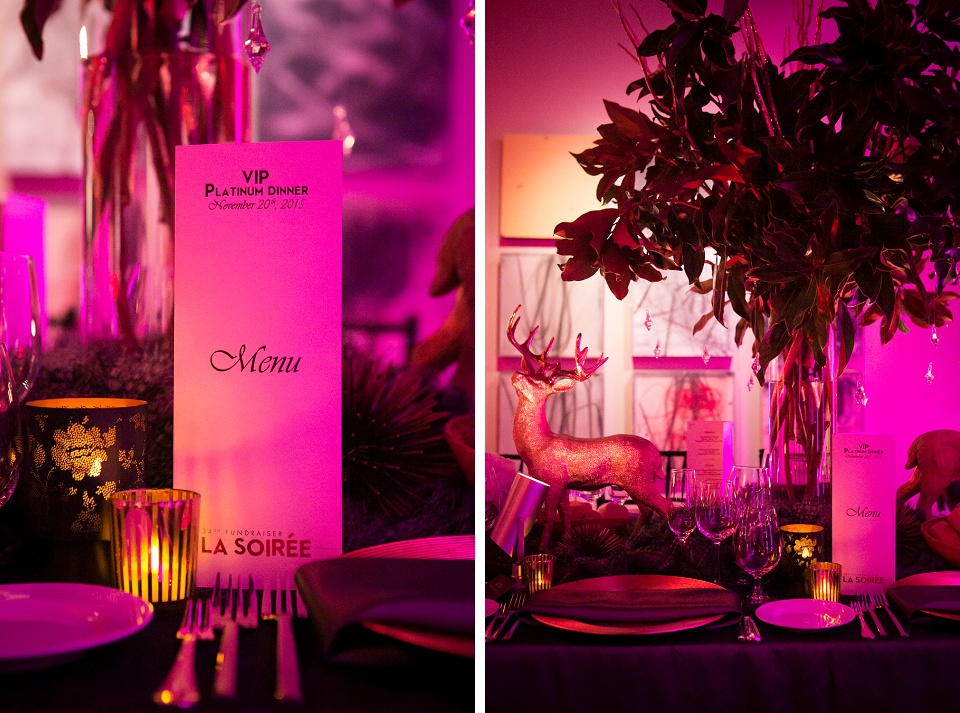 San_Francisco_Special_Event_Photographer_007_Skyfall_Terra_Gallery_08