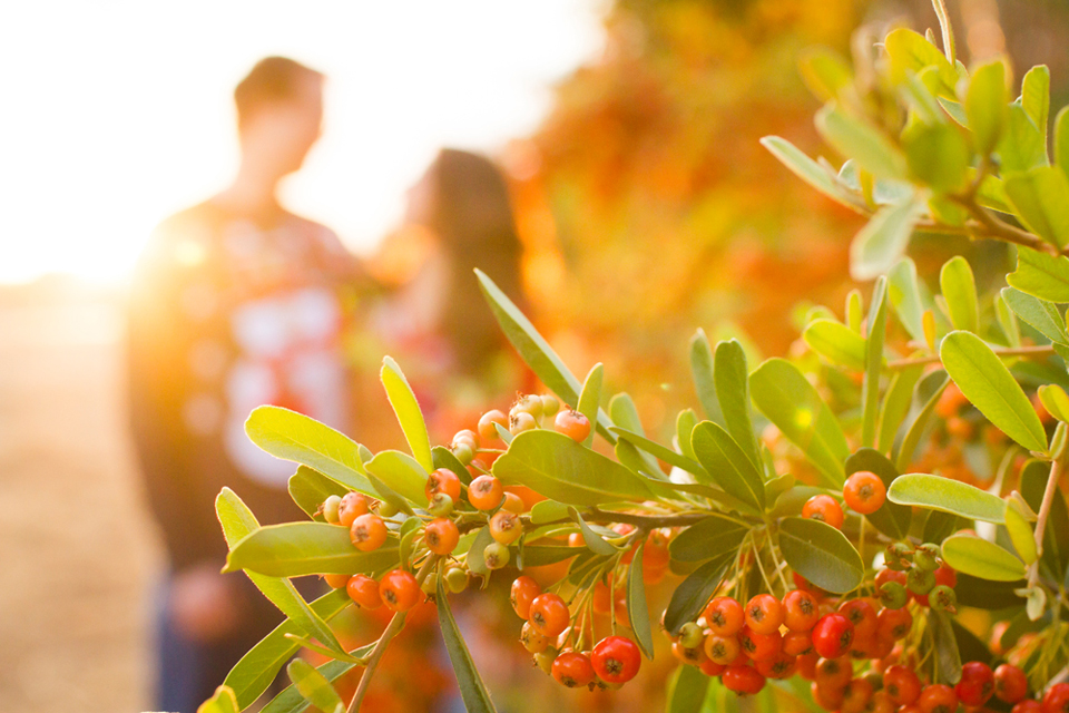 San_Francisco_Bay_Area_Engagement_Photographer_12