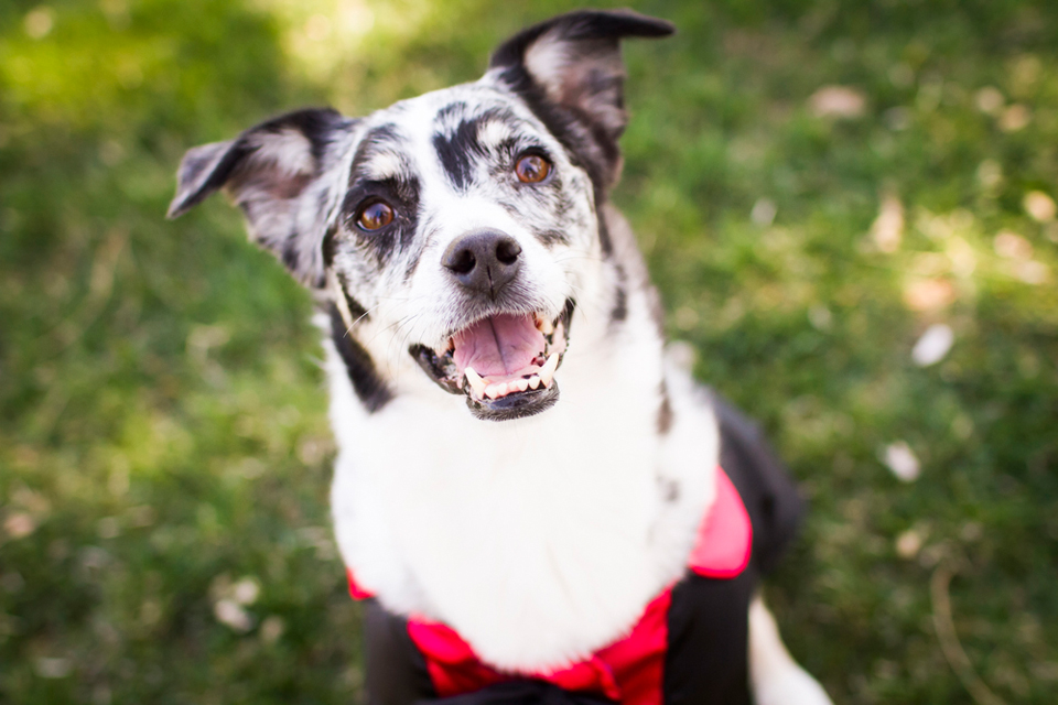 Creative_Denver_Colorado_Wedding_Photographer_17