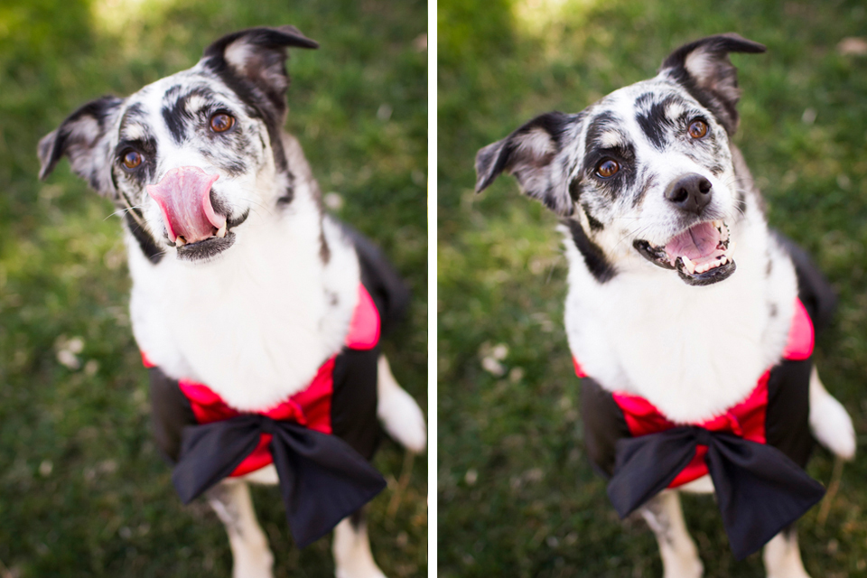 Creative_Denver_Colorado_Wedding_Photographer_19