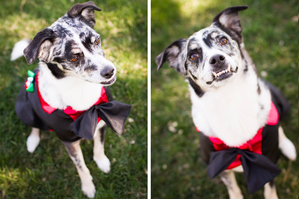 Creative_Denver_Colorado_Wedding_Photographer_20