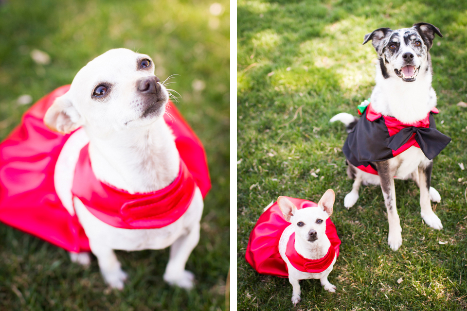 Creative_Denver_Colorado_Wedding_Photographer_21