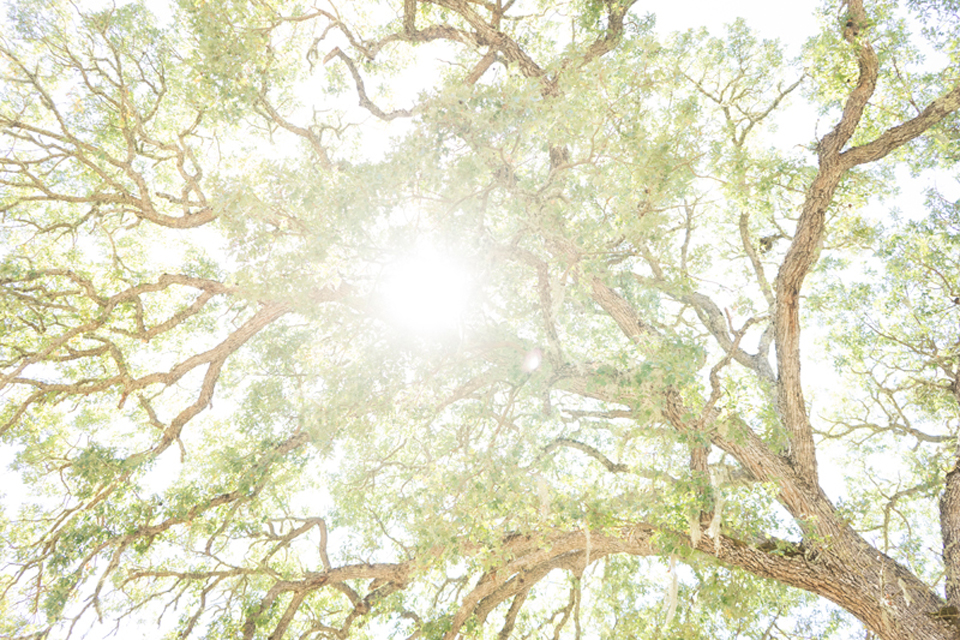 San_Luis_Obispo_Small_Business_Lifestyle_Photographer_0207