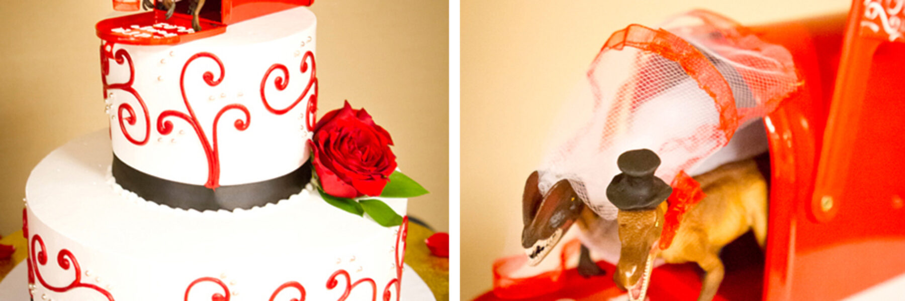 Same-Sex Friendly Businesses | Bakery Refuses to Make Anti-Gay Cakes