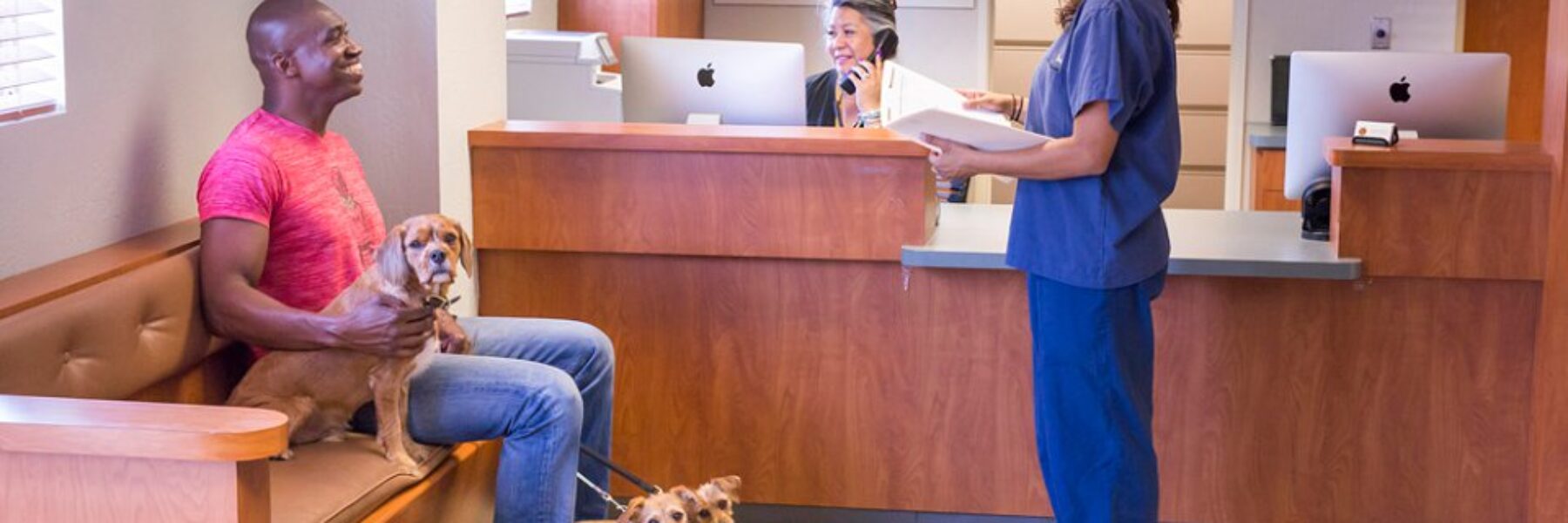 Veterinary Surgeons and Hospitals Personal Branding Photographer | San Mateo, CA