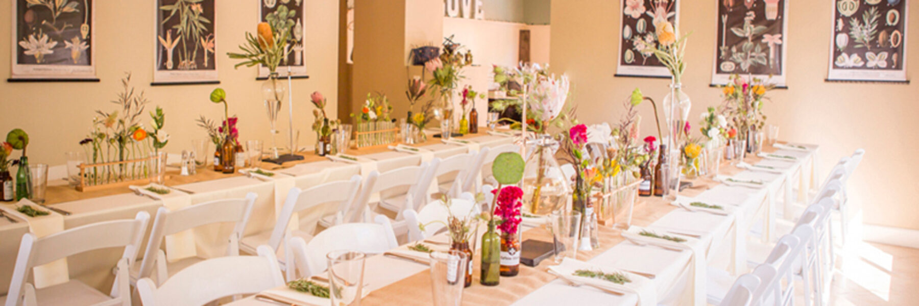 Bay Area Wedding Photographer | Eclectic Vintage Botanical Science Inspired Backyard Wedding – Part 1