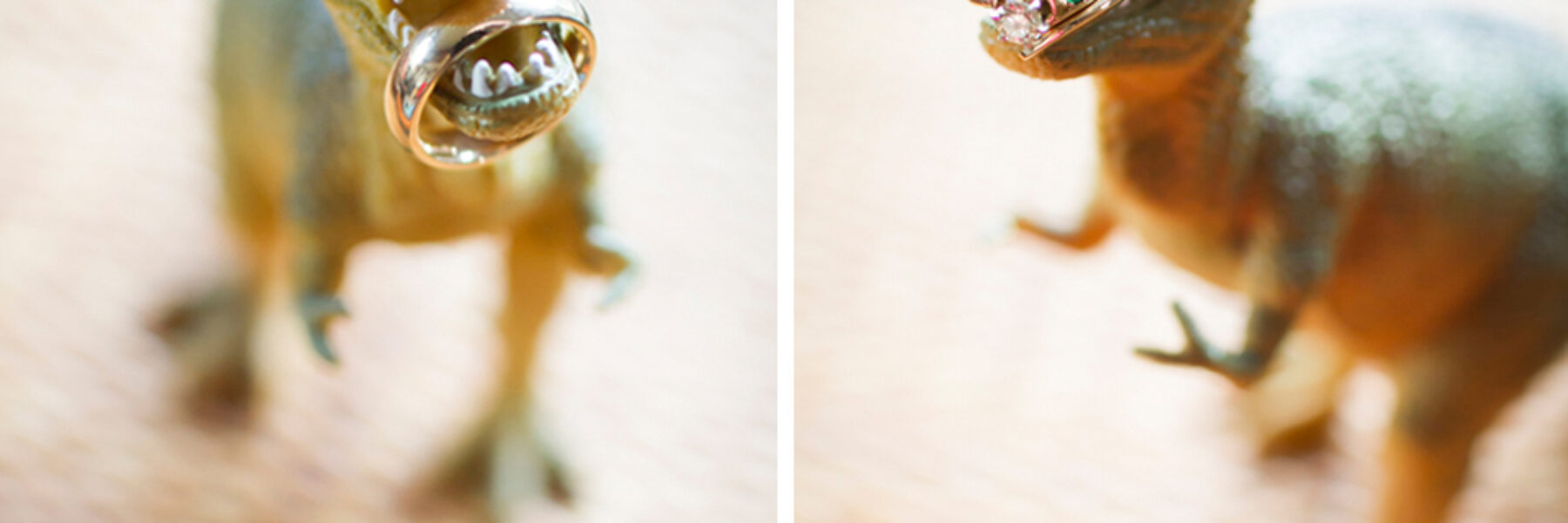 Dinosaur Inspired DIY Wedding for the Offbeat Bride – Colorado Wedding Photographer