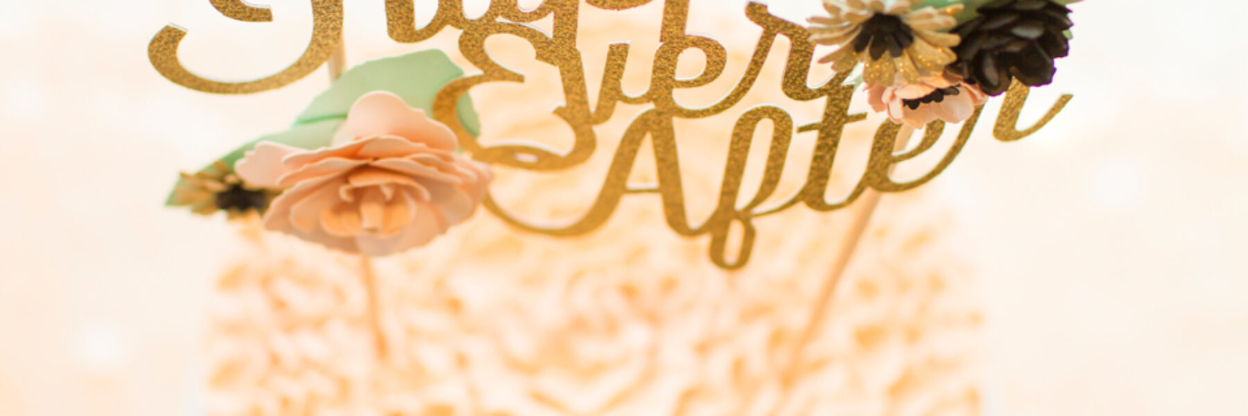 Same Sex Wedding Story Turns Real Marriage Proposal and Elopement – Part 3