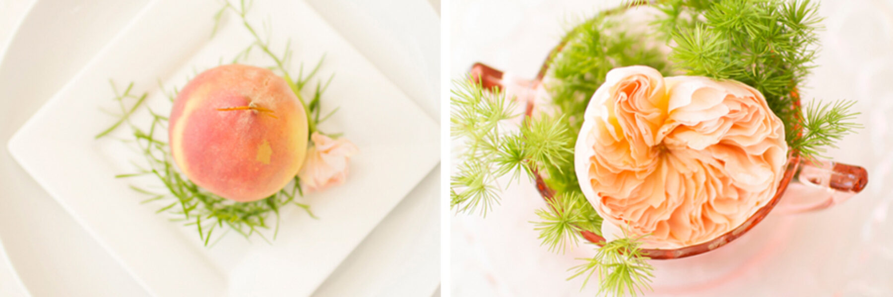 Bay Area Wedding Photographer | Wedding Design and Inspiration