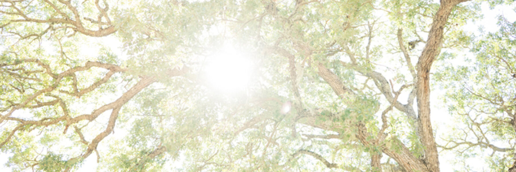 Free Spirits Rejuvenate at Sagrada’s Yoga, Hiking, Wine and Chocolate Retreat | San Luis Obispo, CA